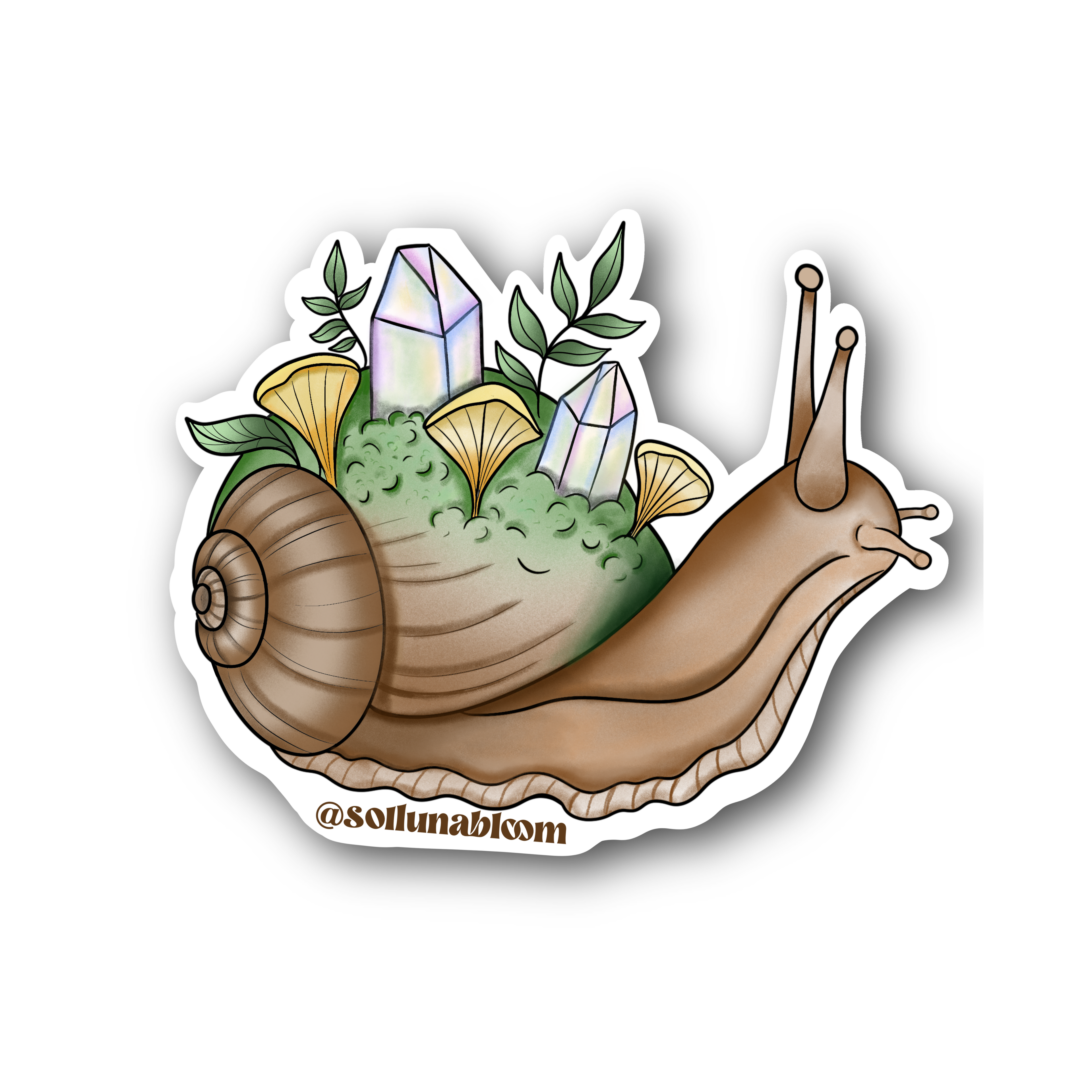 Woodland Snail Vinyl Sticker
