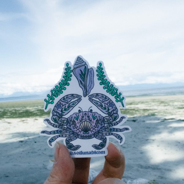 Tide Pool Vinyl Sticker